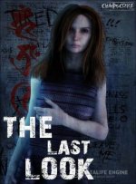 The Last Look (2016)