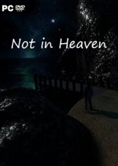 Not in Heaven (2019) PC | 