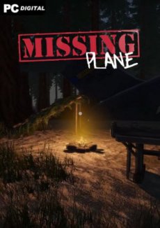 Missing Plane: Survival