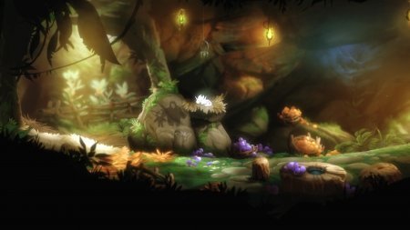 Ori and the Blind Forest (2015)