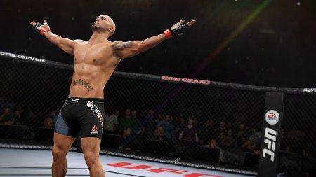 EA Sports UFC 2 (2016) PS4