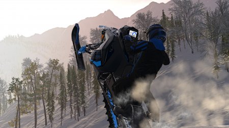Sledders